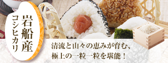 清流と山々の恵みが育む、極上の一粒一粒を堪能！岩船産コシヒカリ