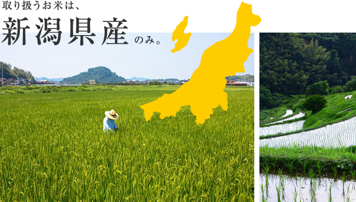取り扱うお米は、新潟県産のみ