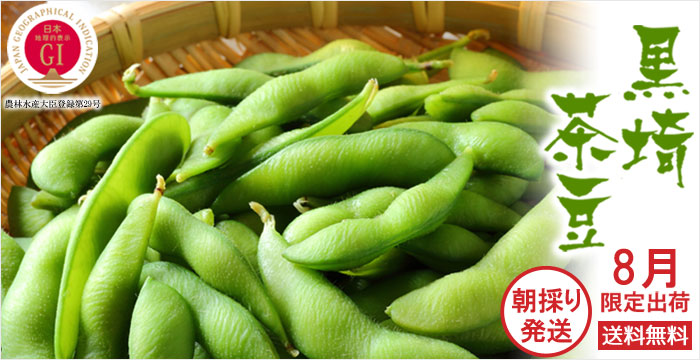 新潟枝豆　朝採り黒埼茶豆