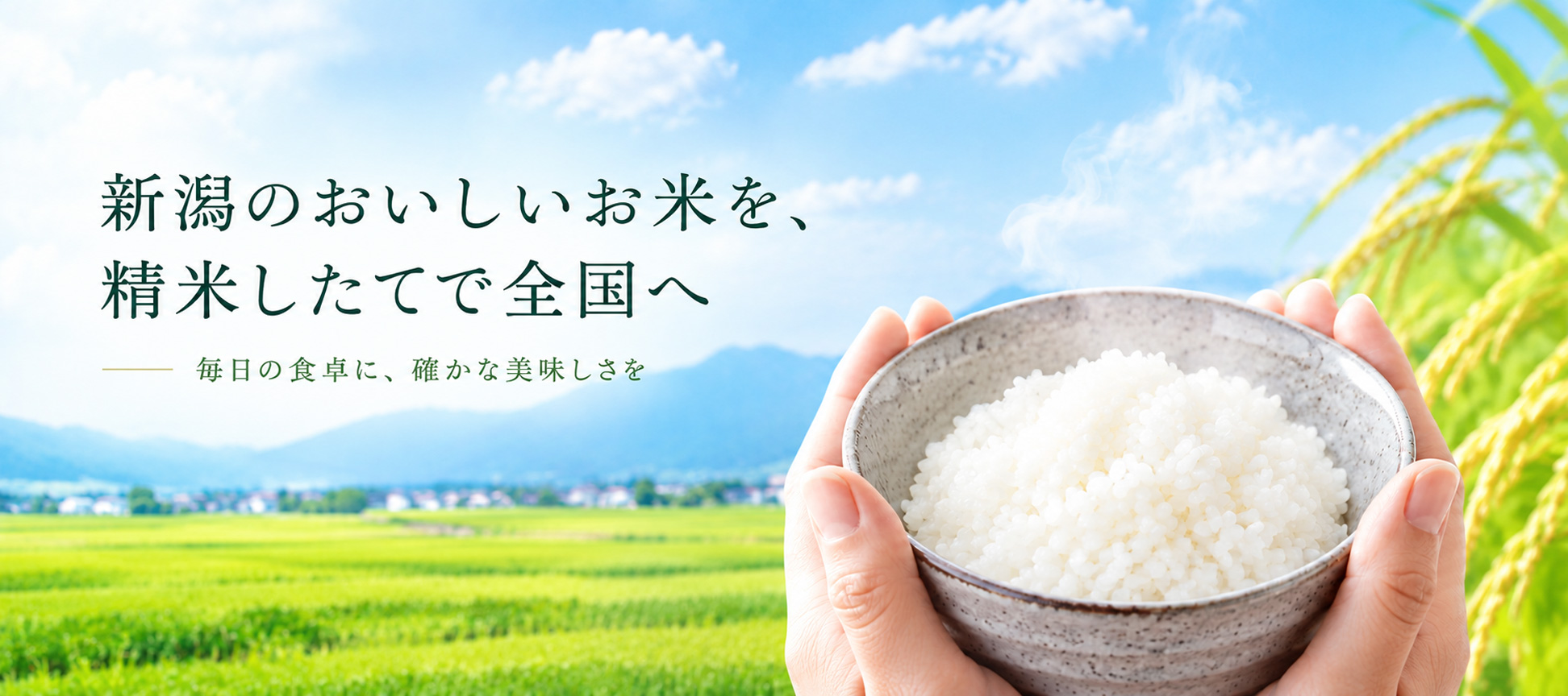新潟のおいしいお米を精米したてで全国へ