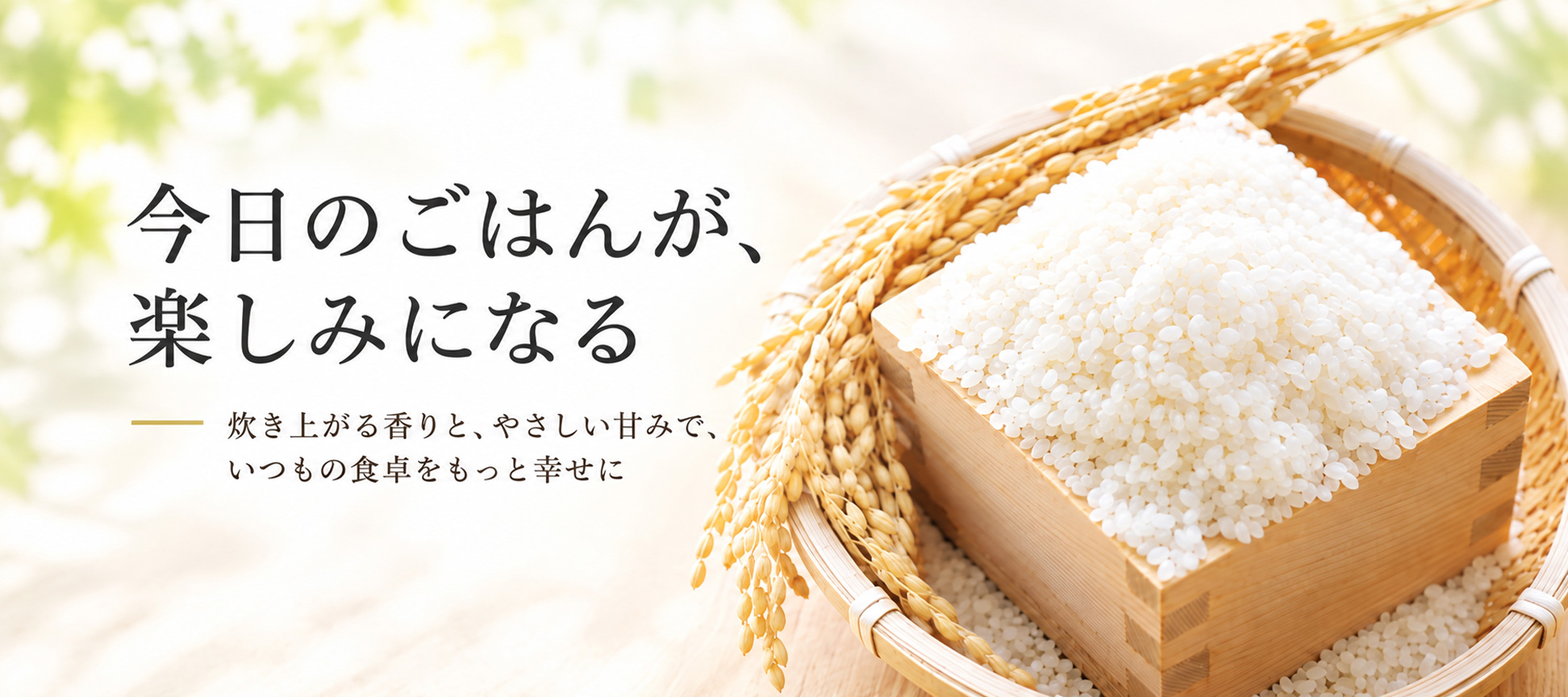 今日のごはんが楽しみになる