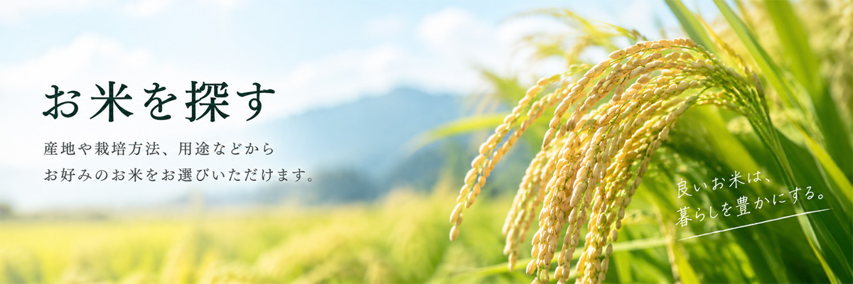 お米を探す