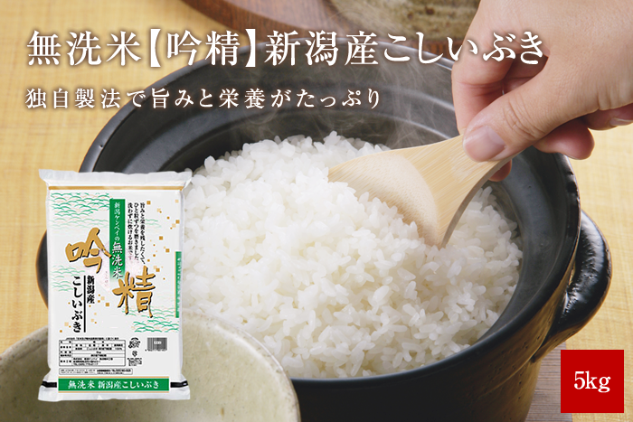 無洗米 新潟産こしいぶき5kg(5kg×1袋)