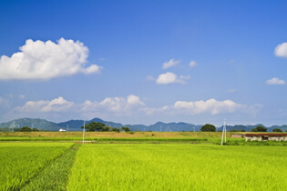 イメージ画像