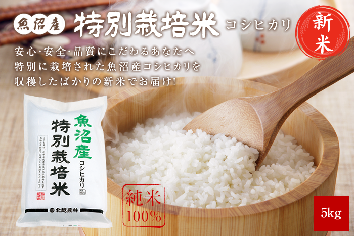 新米 魚沼産コシヒカリ 特別栽培米5kg(5kg×1袋)