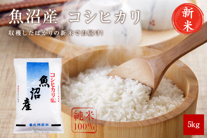 新米 魚沼産コシヒカリ5kg(5kg×1袋)