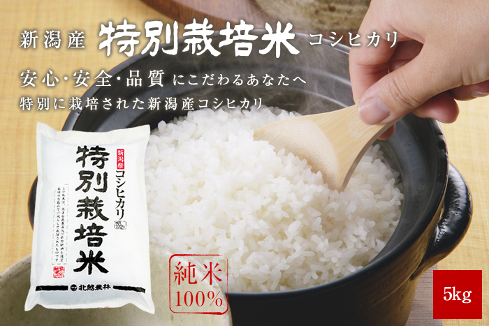 新潟産コシヒカリ 特別栽培米5kg（5kg×1袋）