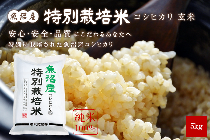 魚沼産コシヒカリ 特別栽培米 玄米5kg（5kg×1袋）