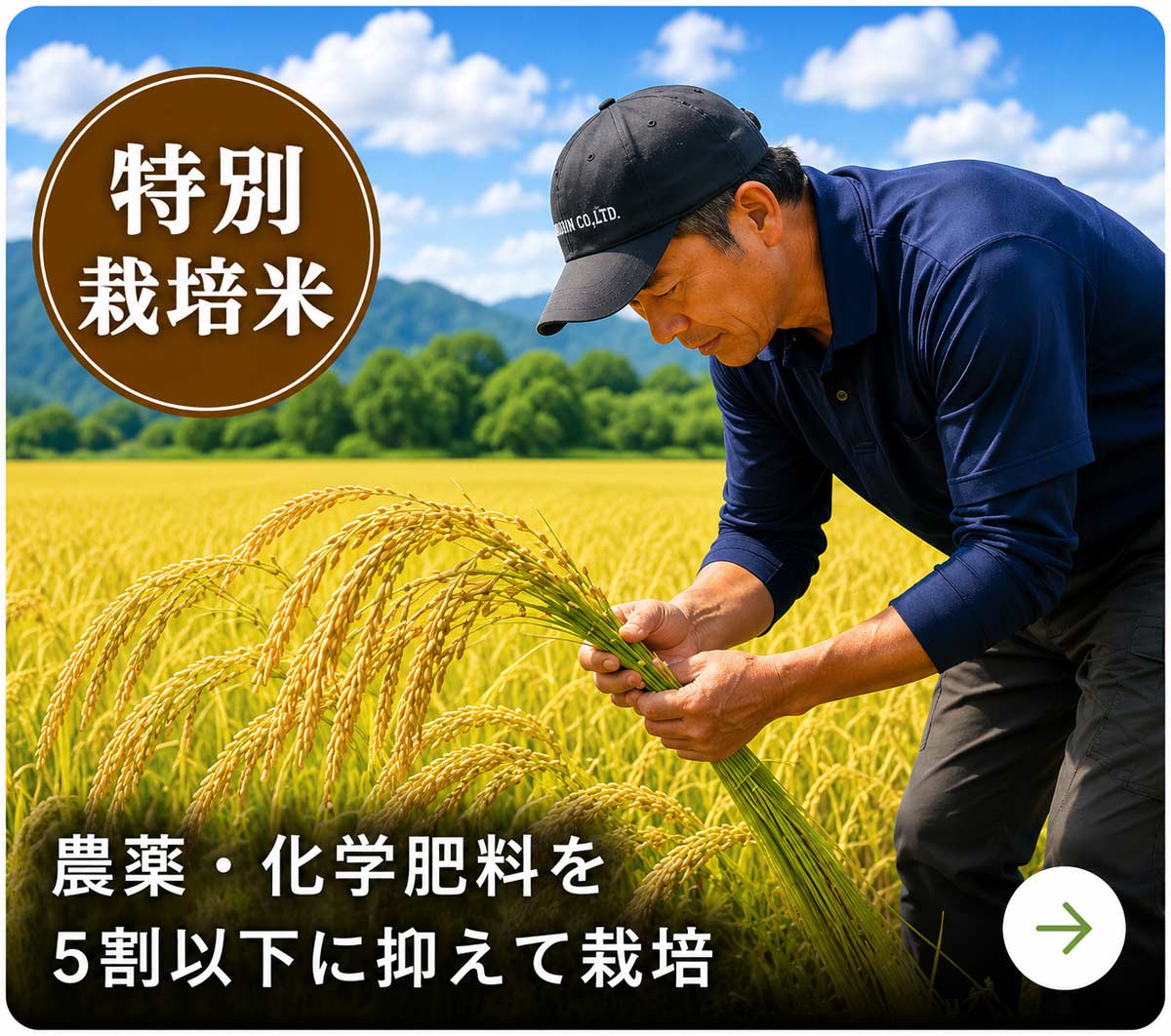 特別栽培米