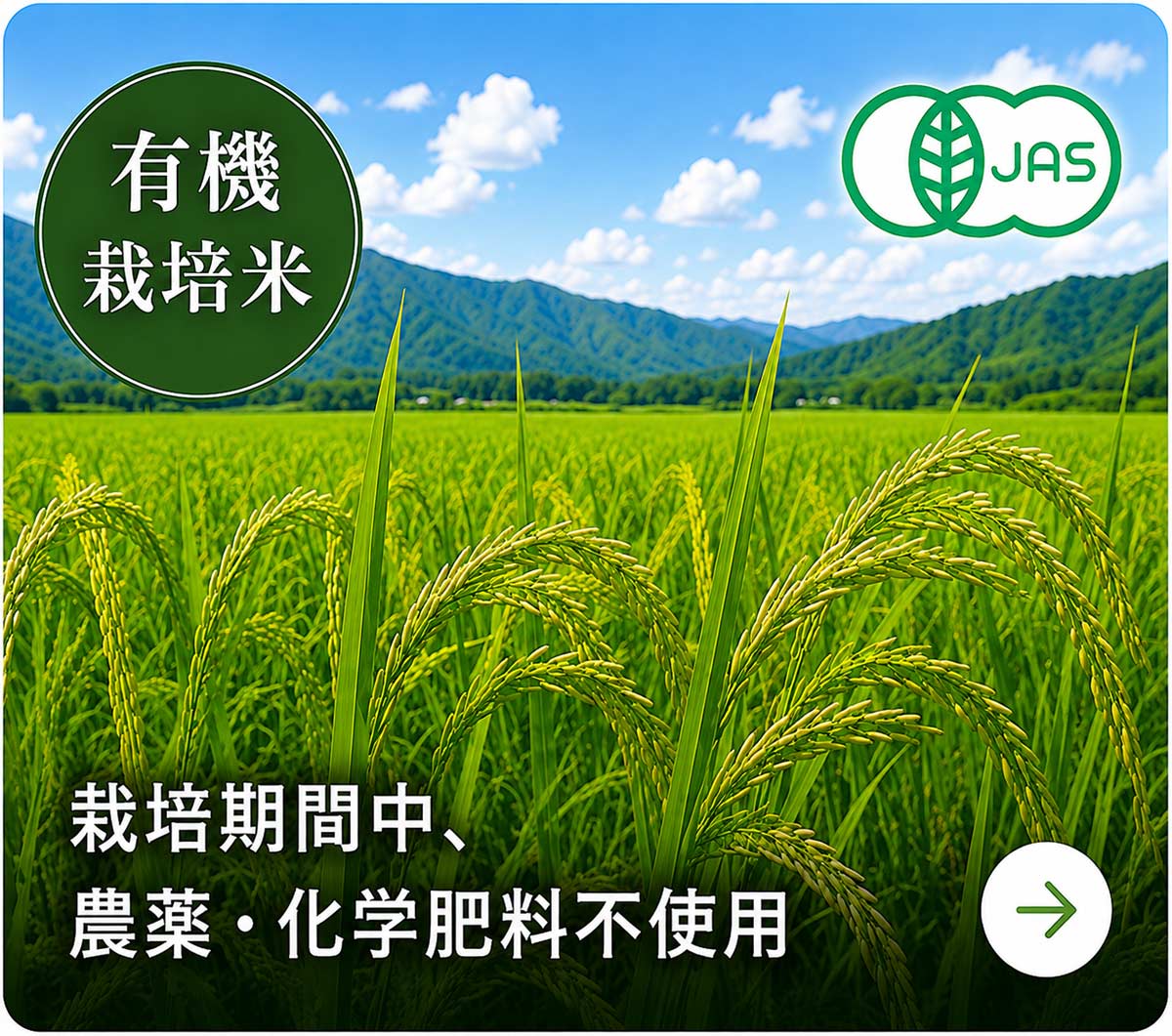 有機栽培米