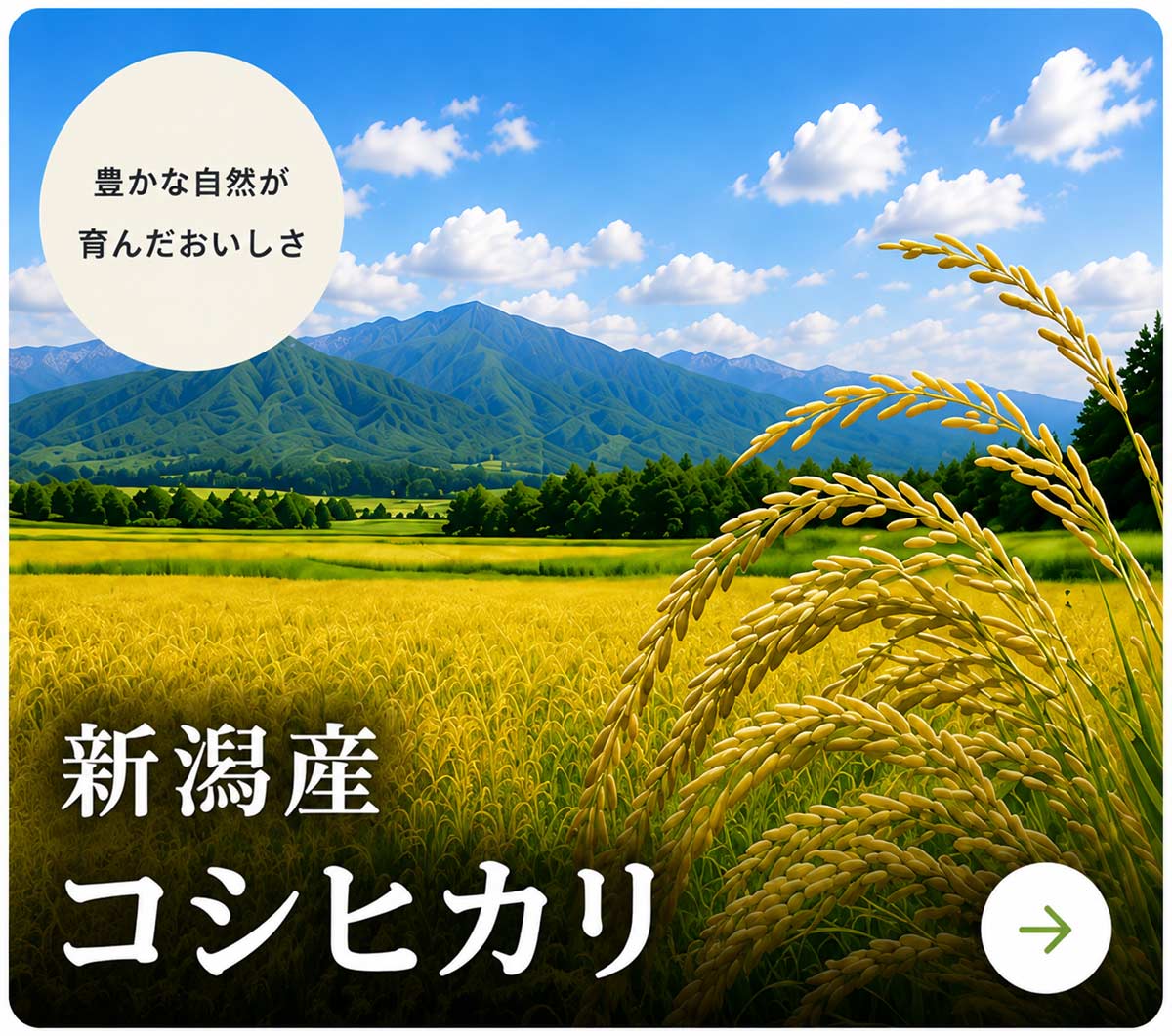 新潟産コシヒカリ
